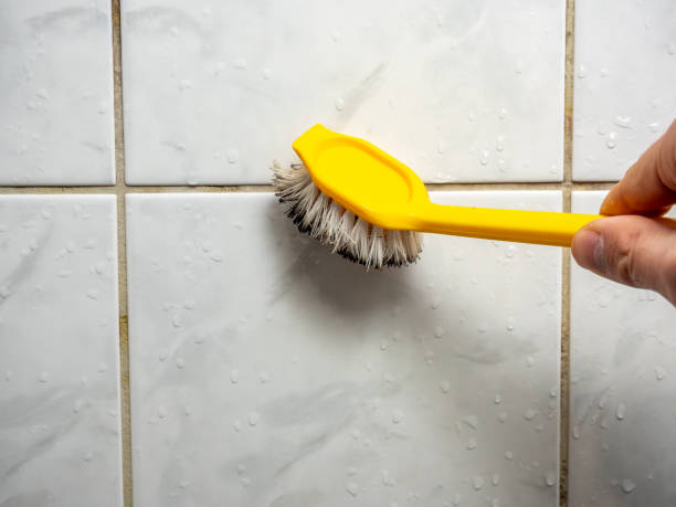 Best Residential Mold Removal  in Muncy, PA